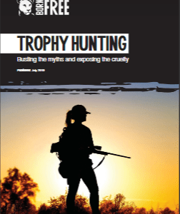 trophy hunting