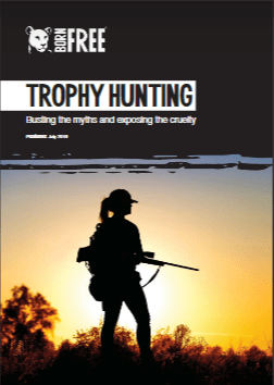 trophy hunting