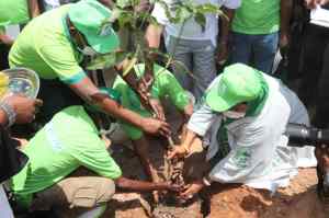 Gombe Goes Green Project 3G