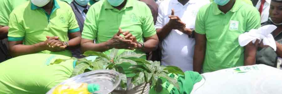 Gombe Goes Green Project 3G