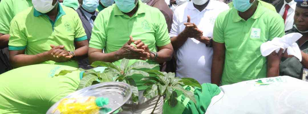 Gombe Goes Green Project 3G