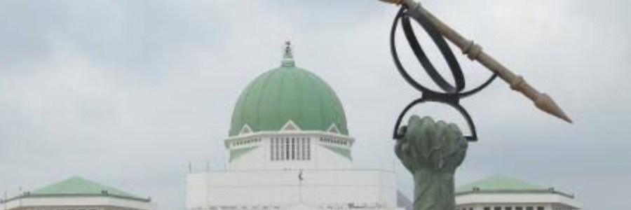 National Assembly NASS