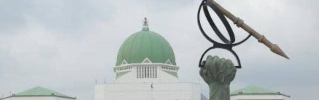 National Assembly NASS