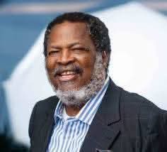 ThisDay and Arise Media Group founder Nduka Obaigbena